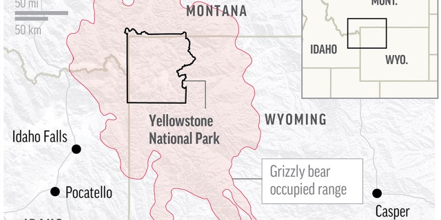 Map shows grizzly bear occupied range across Yellowstone National Park.