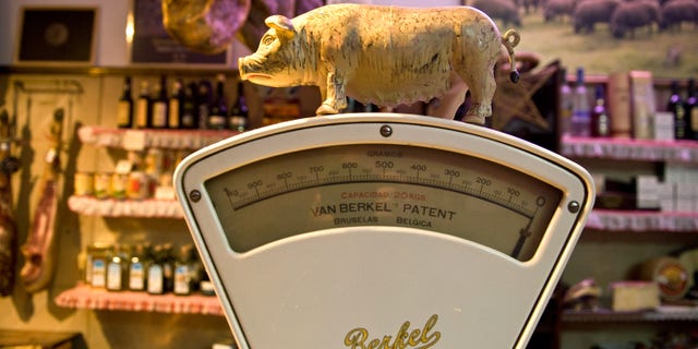 MADRID, SPAIN - DECEMBER 14: A small figurine of an Iberian Pig sits on an old weighing scales at the Alberto Lopez Araque jamon Iberico shop on December 14, 2012 in Madrid, Spain. Dry-cured Iberian ham or Jamon Iberico is a favourite amongst Spaniards and producers are hoping for improved sales over the busy christmas period. The jamon Iberico de Bellota are usually dry-cured for up to three years after the pigs have been few on a diet of acorns in the last three months of their lives. (Photo by Denis Doyle/Getty Images)