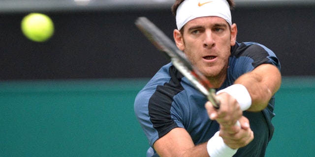 Juan Martin del Potro of Argentina returns a shot to Ernests Gulbis of Latvia at the ABN AMRO world tennis tournament at Ahoy Arena in Rotterdam, Netherlands, Thursday Feb. 14, 2013. (AP Photo/Ermindo Armino)