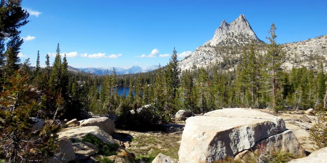 An 18-year-old died Wednesday after falling off a cliff in Yosemite National Park.