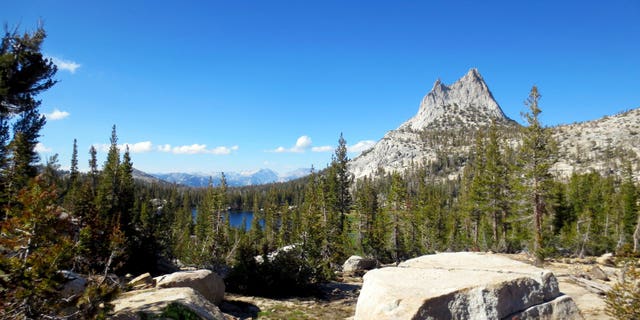 An 18-year-old died Wednesday after falling off a cliff in Yosemite National Park.