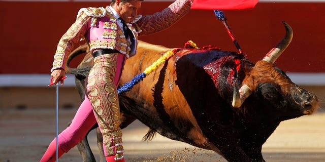 Spanish bullfighter Diego Urdiales makes a pass to Penajara ranch bull during the first bullfight of the San Fermin fiestas on Wednesday, July 7, 2010, in Pamplona, Spain. (AP Photo/Victor R. Caivano)