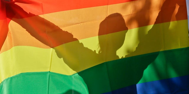 An activist in Ukraine's first gay pride demonstration seen through the rainbow flag during the action in Kiev, Ukraine, Saturday, May 25, 2013. About a hundred gay and lesbian Ukrainians and those from other countries took part in the gay pride rally, protected by hundreds of riot police. Antipathy toward homosexuals remains strong in Ukraine. (AP Photo/Efrem Lukatsky)
