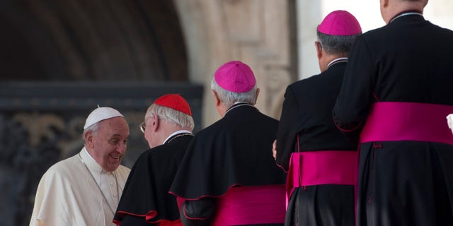 Cardinals and Bishops line up to greet Pope Francis at the end of his weekly general audience in St. Peter's Square at the Vatican, Wednesday, Oct. 30, 2013.(AP Photo/Alessandra Tarantino)
