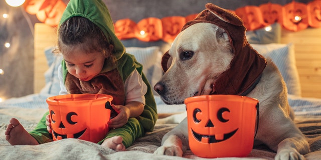 Parents can explain to their kids, as part of this Halloween-season learning experience, that for every three pieces of candy they choose to give to someone else, you will give them one piece of candy back.