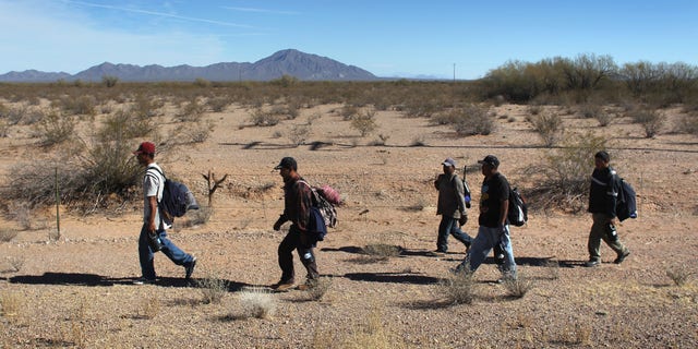 TOHONO O'ODHAM NATION, AZ - JANUARY 19: Undocumented Mexican immigrants walk through the Sonoran Desert after illegally crossing the U.S.-Mexico border border on January 19, 2011 into the Tohono O'odham Nation, Arizona. The immigrants said they had wandered the desert lost for a week after crossing from Mexico into the vast Indian reservation at night. Exhausted, they requested the Border Patrol to pick them up and take them to the U.S.-Mexico border, from where they would return to their homes in the Mexican state of Sonora. They had come, they said, to reach Phoenix and find work in construction or landscaping. All said they had worked in Arizona before. (Photo by John Moore/Getty Images)