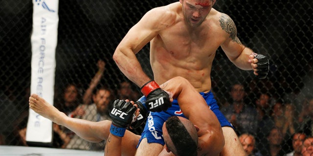 Chris Weidman pounds Vitor Belfort during their middleweight mixed martial arts bout at UFC 187 Saturday, May 23, 2015, in Las Vegas. (AP Photo/John Locher)