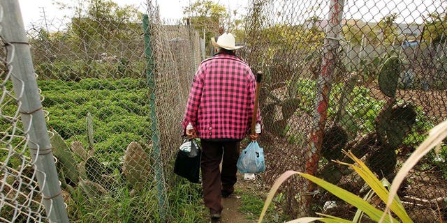 LOS ANGELES, CA - MARCH 09: Elia Ortiz walks to his garden plot at the South Central Community Farm on March 9, 2006 in Los Angeles, California. Owner and developer Ralph Horowitz has decided to erect a Wal-Mart warehouse on the site and ordered the eviction of the farmers who won a stay until a March 13 hearing to determine the fate of the 13-year-old community food farm. The 14-acre food garden is operated by about 350 Mexican and Guatemalan immigrant families who mostly live under the poverty line and is reportedly the nation's largest urban farm. (Photo by David McNew/Getty Images)