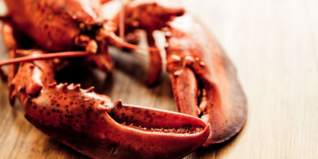 An extremely old Long Island lobster was recently saved from becoming dinner.
