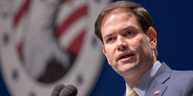 GREENVILLE, SC - MAY 09: Republican Presidential candidate U.S. Sen. Marco Rubio (R-FL) speaks during the Freedom Summit on May 9, 2015 in Greenville, South Carolina. Rubio joined eleven other potential candidates in addressing the event hosted by conservative group Citizens United. (Photo by Richard Ellis/Getty Images)