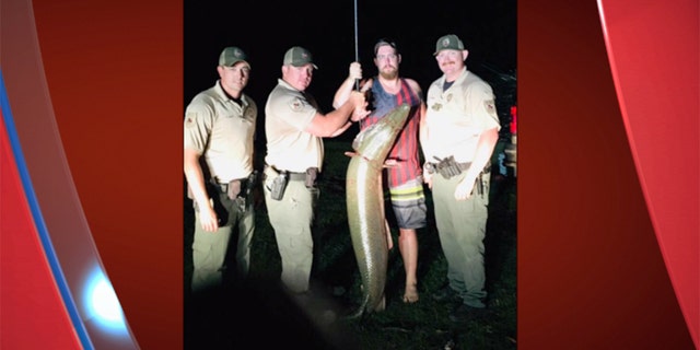 The unexpected catch was 6 feet 2 inches long, with a 30.5-inch girth.