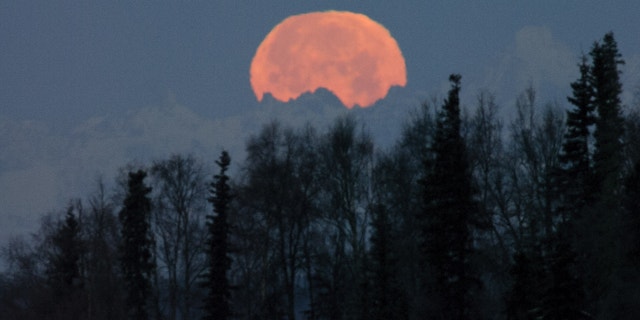 The full moon disappears from view in Soldotna, Alaska, as it sets Wednesday, Nov. 28, 2012, behind peaks in the Alaska Range shortly before sunrise.