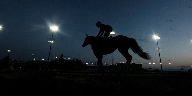 May 2, 2012: Horses workout before the sun come up at Churchill Downs in Louisville, Kentucky.