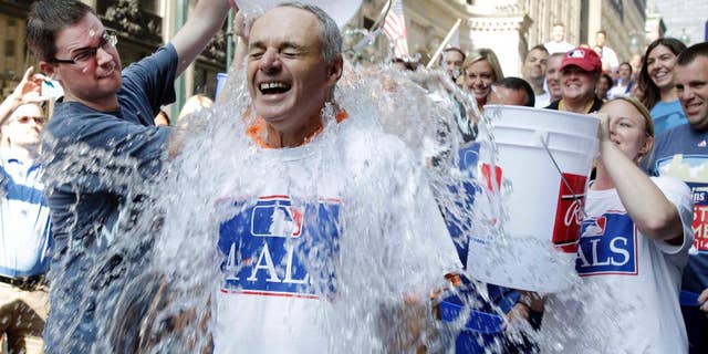 Major League Baseball Commissioner-elect Rob Manfred participates in the ALS Ice-Bucket Challenge outside the organization's headquarters in New York, Wednesday, Aug. 20, 2014. Manfred participated with more than 160 other MLB employees to raise more than $16,000 for the ALS Association. (AP Photo/Vanessa A. Alvarez)