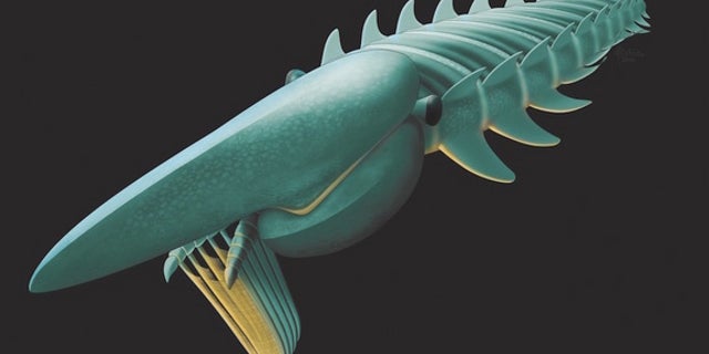 An artist's interpretation of Aegirocassis benmoulai, a remarkably well-preserved 480-million-year-old arthropod known as an anomalocaridid.