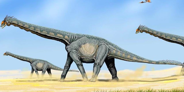Alamosaurus, a member of the Sauropod family of giant, plant eating dinosaurs that roamed the planet tens of millions of years ago.