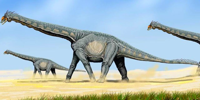 Alamosaurus, a member of the Sauropod family of giant, plant eating dinosaurs that roamed the planet tens of millions of years ago.