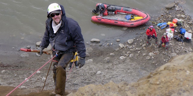 In this 2014 photo released by the University of Alaska Museum of the North, researcher Greg Erickson repels down to the dig site near Nuiqsut, Alaska. Researchers at the University of Alaska Fairbanks have found a third distinct dinosaur species documented on Alaska's oil-rich North Slope. The new species is a type of hadrosaur, a duck-billed plant-eater. (Pat Druckenmiller/UA Museum of the North via AP)