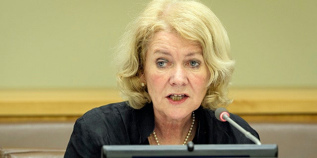Alison Smale, Under-Secretary-General for Global Communications, will decide whether to make Matthew Lee's ban permanent.
