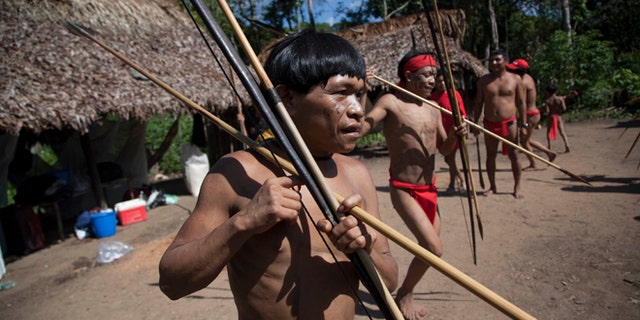 FILE -In this Sept. 7, 2012 file photo, Yanomami Indians dance in their village called Irotatheri in Venezuela's Amazon region. In a remote part of the Venezuelan Amazon, scientists have discovered that members of a village isolated from the modern world have the most diverse colonies of bacteria ever reported living in and on the human body. The microbiome _ the trillions of mostly beneficial bacteria that share our bodies _ plays a critical role in maintaining health. Friday's study raises tantalizing questions about the microbial diversity of our ancestors, and whether todays Western diets and lifestyles strip us of some bugs we might want back. (AP Photo/Ariana Cubillos, File)