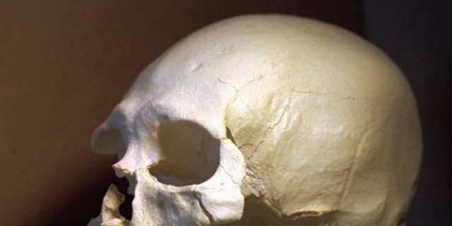 DNA says 8,500-year-old 'Kennewick Man' closely related to Native