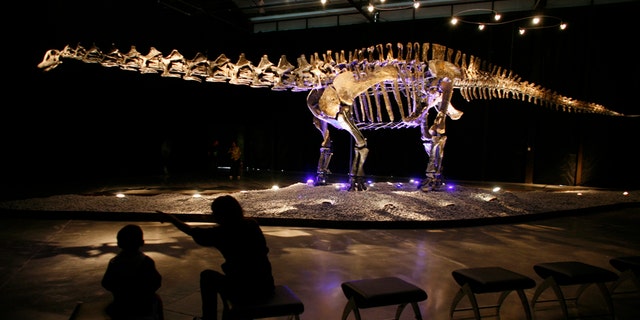 File photo - visitors look at the skeleton of an Apatosaurus named "Einstein" displayed at the Lewis hall in Fundidora park in Monterrey, northern Mexico, Sept. 23, 2009.