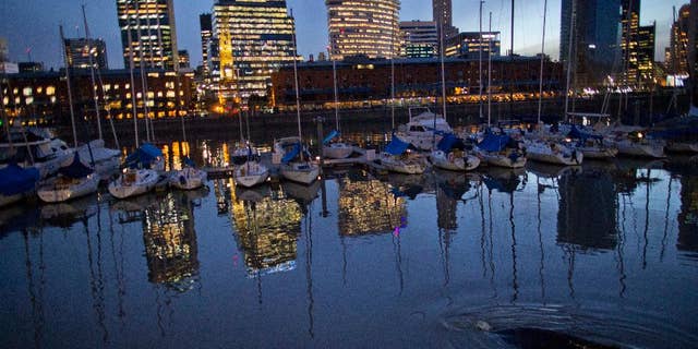 A lost whale swims near boats in Puerto Madero, Buenos Aires, Argentina, Monday, Aug. 3, 2015. The whale appeared in a port of one of Buenos Aires’ most exclusive neighborhoods, periodically surfacing alongside luxury yachts while attracting hundreds of onlookers. (AP Photo/Natacha Pisarenko)