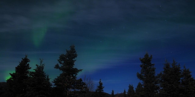 Aurora borealis at Denali National Park and Preserve in Alaska
