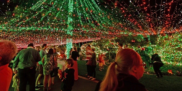 Nov. 24, 2013.: People look at The Richards home illuminated with miniature lights in Canberra.