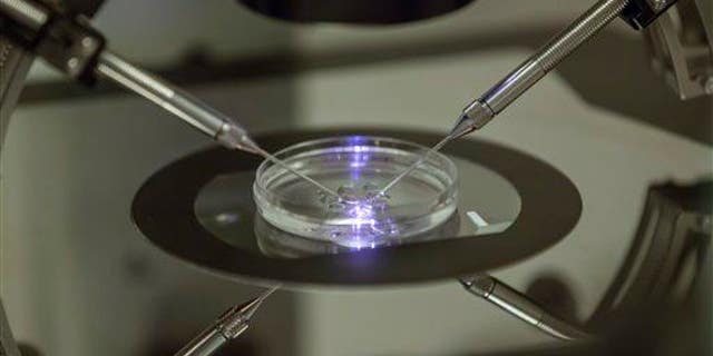 London fertility clinic