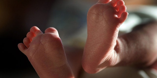 KNUTSFORD, UNITED KINGDOM - APRIL 03: (FILE) In this file photograph taken on March 20, 2007, a two-week-old boy finds his feet in his new world. Health Secretary Patricia Hewitt announced, April 3, 2007 that for the first time, mothers-to-be will have a guarantee that the NHS will provide them with a full range of birthing choices - including home births - and a midwife they know and trust to care for them. (Photo by Christopher Furlong/Getty Images)