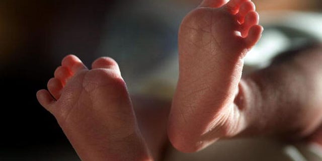 KNUTSFORD, UNITED KINGDOM - APRIL 03: (FILE) In this file photograph taken on March 20, 2007, a two-week-old boy finds his feet in his new world. Health Secretary Patricia Hewitt announced, April 3, 2007 that for the first time, mothers-to-be will have a guarantee that the NHS will provide them with a full range of birthing choices - including home births - and a midwife they know and trust to care for them. (Photo by Christopher Furlong/Getty Images)