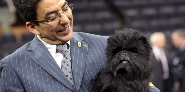 Feb. 12, 2013: Handler Ernesto Lara poses for photographers with Banana Joe, an affenpinscher who won best in show during the 137th Westminster Kennel Club dog show.