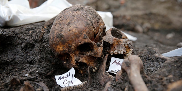 Skeletons found in the Bedlam burial ground on the future site of a Crossrail ticket hall are seen next to Liverpool Street Station in London.