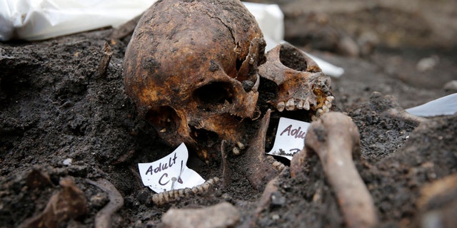Skeletons found in the Bedlam burial ground on the future site of a Crossrail ticket hall are seen next to Liverpool Street Station in London.