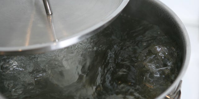 BERLIN - JANUARY 14: Water boils in a pot on a stove on January 14, 2007 in Berlin, Germany.  (Photo Illustration by Andreas Rentz/Getty Images)