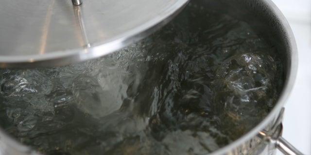 BERLIN - JANUARY 14: Water boils in a pot on a stove on January 14, 2007 in Berlin, Germany. (Photo Illustration by Andreas Rentz/Getty Images)