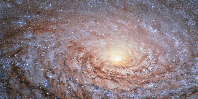 File photo. The galaxy Messier 63 - nicknamed the Sunflower Galaxy - is seen in an undated image from the NASA/ESA Hubble Space Telescope released September 11, 2015.