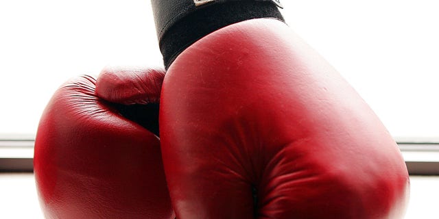 NEW YORK - AUGUST 26: Boxing gloves at the Aerospace Performance Center on August 26, 2005 in New York City. (Photo by Scott Gries/Getty Images)