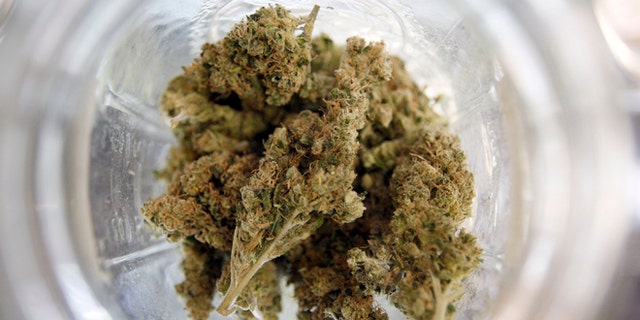 LOS ANGELES, CA - JULY 25:  Marijuana is seen in a jar at Perennial Holistic Wellness Center medical marijuana dispensary, which opened in 2006, on July 25, 2012 in Los Angeles, California. The Los Angeles City Council has unanimously voted to ban storefront medical marijuana dispensaries and to order them to close or face legal action. The council also voted to instruct staff to draw up a separate ordinance for consideration in about three months that might allow dispensaries that existed before a 2007 moratorium on new dispensaries to continue to operate. It is estimated that Los Angeles has about one thousand such facilities. The ban does not prevent patients or cooperatives of two or three people to grow their own in small amounts. Californians voted to legalize medical cannabis use in 1996, clashing with federal drug laws. The state Supreme Court is expected to consider ruling on whether cities can regulate and ban dispensaries.    (Photo by David McNew/Getty Images)