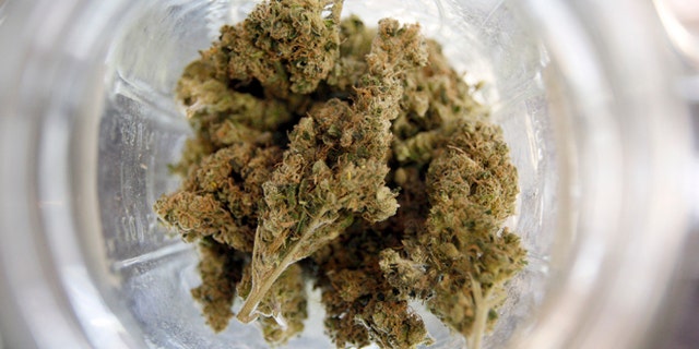 LOS ANGELES, CA - JULY 25: Marijuana is seen in a jar at Perennial Holistic Wellness Center medical marijuana dispensary, which opened in 2006, on July 25, 2012 in Los Angeles, California. The Los Angeles City Council has unanimously voted to ban storefront medical marijuana dispensaries and to order them to close or face legal action. The council also voted to instruct staff to draw up a separate ordinance for consideration in about three months that might allow dispensaries that existed before a 2007 moratorium on new dispensaries to continue to operate. It is estimated that Los Angeles has about one thousand such facilities. The ban does not prevent patients or cooperatives of two or three people to grow their own in small amounts. Californians voted to legalize medical cannabis use in 1996, clashing with federal drug laws. The state Supreme Court is expected to consider ruling on whether cities can regulate and ban dispensaries. (Photo by David McNew/Getty Images)