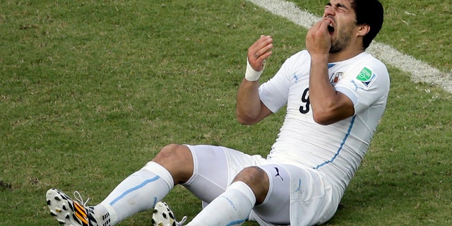June 24, 2014: Uruguay's Luis Suarez reacts while sitting on the pitch during the group D World Cup soccer match between Italy and Uruguay at the Arena das Dunas in Natal, Brazil. (AP Photo/Hassan Ammar)