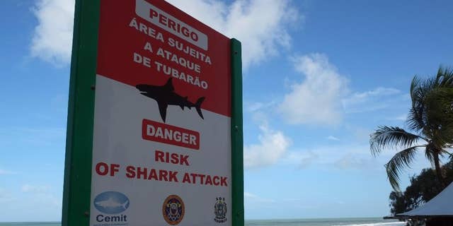 In this June 15, 2014, photo, a sign warns of the danger sharks pose to swimmers at Boa Viagem beach in Recife, Brazil. The beach, which has seen an influx in visitors during the World Cup, has had more reported shark attacks than any other beach in Brazil. According to the state's Shark Incident Monitoring Committee, 59 people have been attacked by sharks in or near Recife since 1992. Some tourists' eyes widen as they notice the shark symbol while approach the huts to order Brazilian cocktails. (AP Photo/Lawrence Rincon)