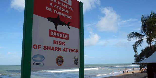 In this June 15, 2014, photo, a sign warns of the danger sharks pose to swimmers at Boa Viagem beach in Recife, Brazil. The beach, which has seen an influx in visitors during the World Cup, has had more reported shark attacks than any other beach in Brazil. According to the state's Shark Incident Monitoring Committee, 59 people have been attacked by sharks in or near Recife since 1992. Some tourists' eyes widen as they notice the shark symbol while approach the huts to order Brazilian cocktails. (AP Photo/Lawrence Rincon)