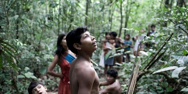 In this Aug. 2010 photo released in 2012 by Survival International, Awa Indians stand in a forest in Maranhao state, Brazil.