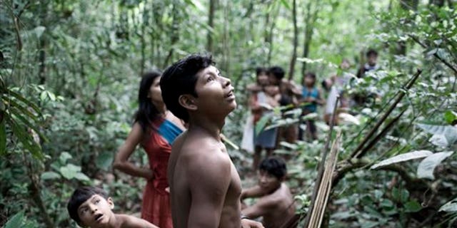 In this Aug. 2010 photo released in 2012 by Survival International, Awa Indians stand in a forest in Maranhao state, Brazil.