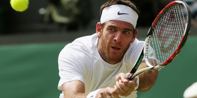 Juan Martin Del Potro of Argentina in a July 5, 2013 file photo.