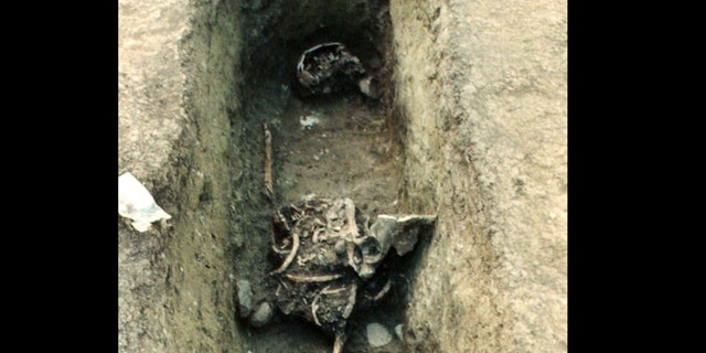 When this grave in the Austrian medieval cemetery Brunn am Gebirge was excavated, the jumbled bones of the corpse revealed that someone else had beat the excavators to it and had opened it up to rummage around inside.