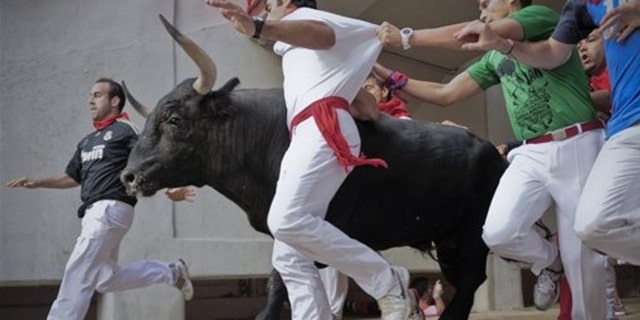 Earlier this month, revelers run next to a Nunez del Cubillo's ranch fighting bull during the final running of the bulls at the San Fermin fiestas.
