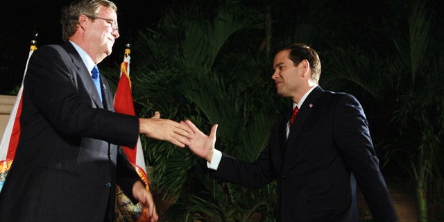 Marco Rubio (R) and former Governor of Florida Jeb Bush on November 2, 2010, in Coral Gables, Florida, the night Rubio defeated Florida Gov. Charlie Crist to win his seat in the U.S. Senate. (Photo by Joe Raedle/Getty Images)